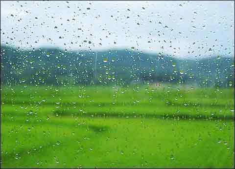 绵绵雨 柔柔情 密密诗